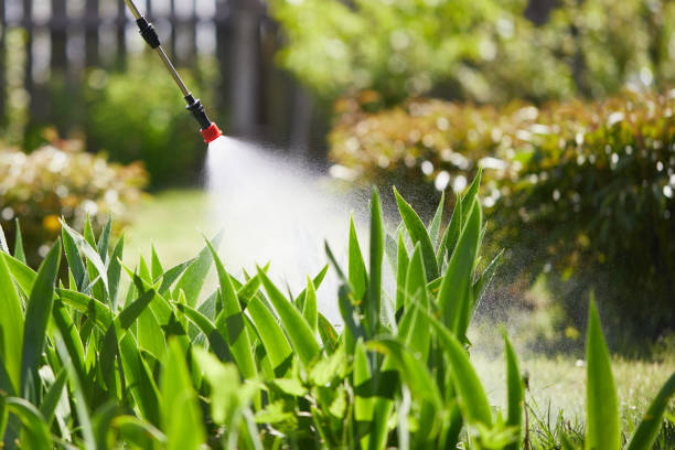 24/7 Emergency Ant Control experts in Stockton, KS