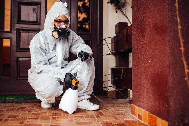 Reliable Ant Control contractor in Stockton, KS by Nex Pest Control