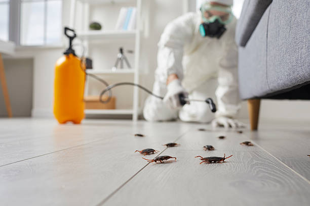 Trusted Cockroach Control service in Stockton, KS - Nex Pest Control